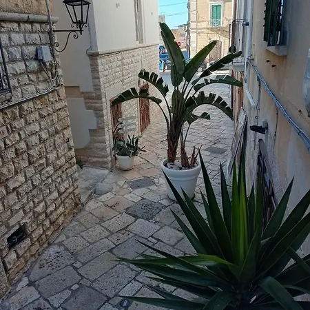 Hasu בית הארחה
